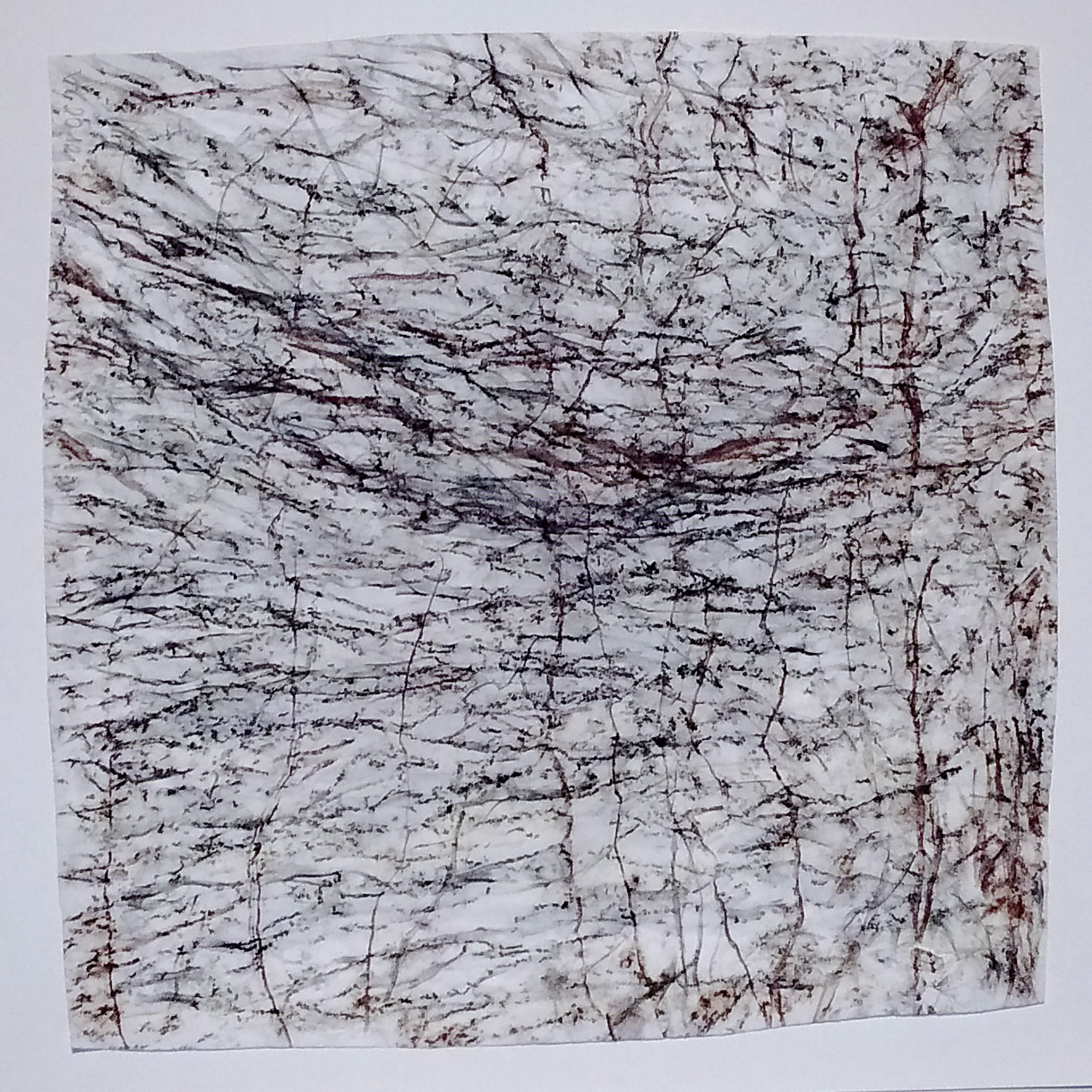 Angela Preusz, Im Duft der Linde, Bothmer, 2021, Kohle und Rötel auf Japanpapier, 50 x 50 cm